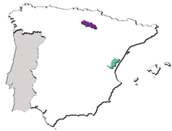 Spanish wine regions
